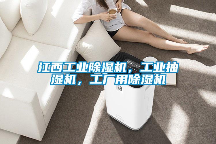 江西工業(yè)除濕機(jī)，工業(yè)抽濕機(jī)，工廠用除濕機(jī)