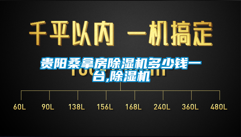 貴陽桑拿房除濕機(jī)多少錢一臺,除濕機(jī)