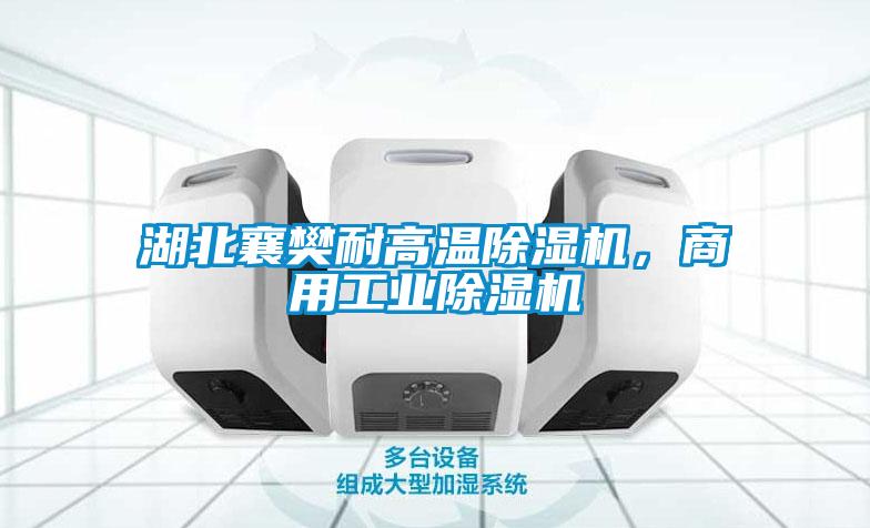 湖北襄樊耐高溫除濕機(jī)，商用工業(yè)除濕機(jī)