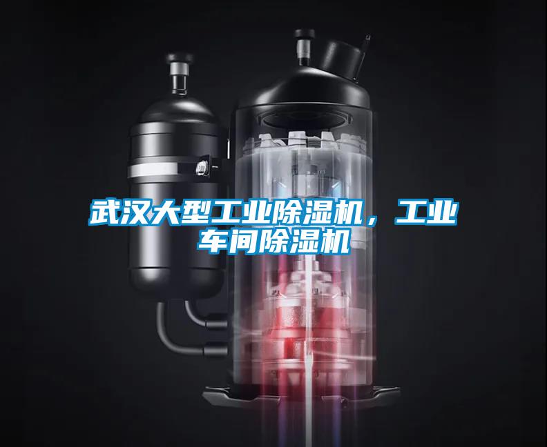 武漢大型工業(yè)除濕機(jī)，工業(yè)車(chē)間除濕機(jī)