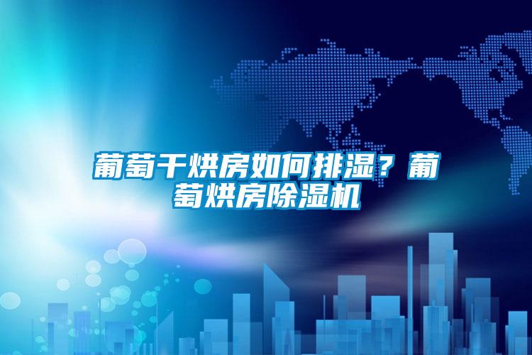 葡萄干烘房如何排濕？葡萄烘房除濕機(jī)