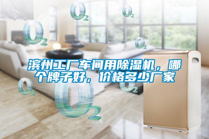 濱州工廠車(chē)間用除濕機(jī)，哪個(gè)牌子好，價(jià)格多少?gòu)S家