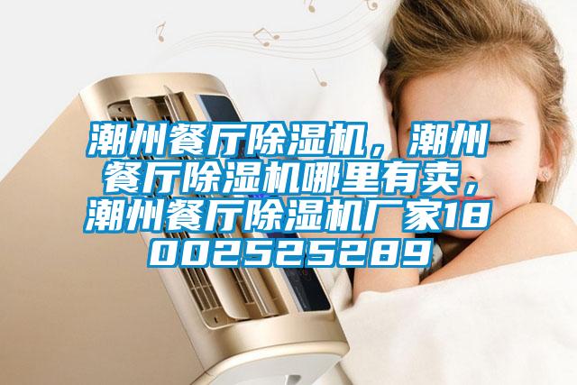 潮州餐廳除濕機(jī)，潮州餐廳除濕機(jī)哪里有賣(mài)，潮州餐廳除濕機(jī)廠家18002525289