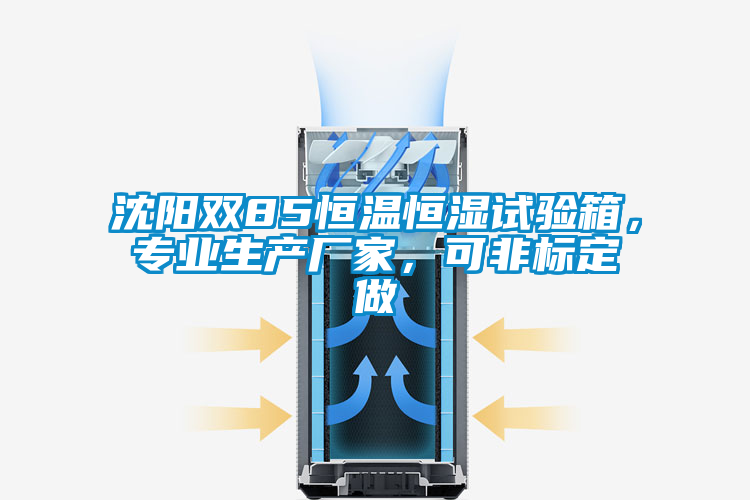 沈陽雙85恒溫恒濕試驗(yàn)箱，專業(yè)生產(chǎn)廠家，可非標(biāo)定做