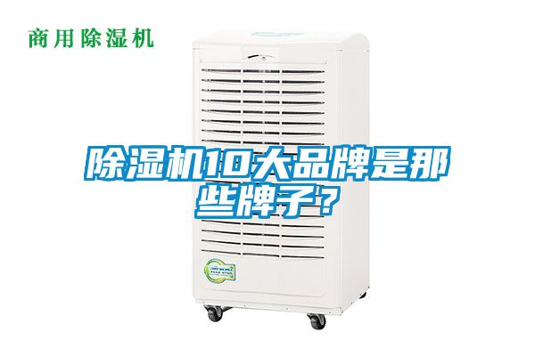 除濕機10大品牌是那些牌子？