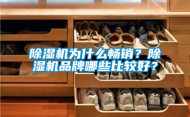 除濕機為什么暢銷？除濕機品牌哪些比較好？