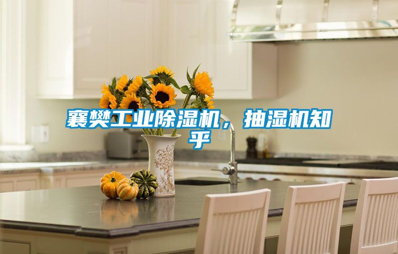 襄樊工業(yè)除濕機，抽濕機知乎