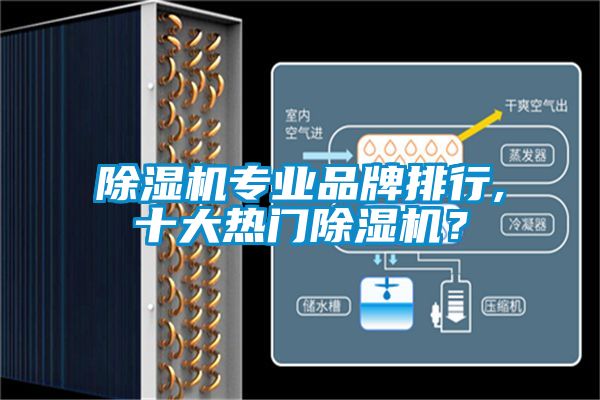 除濕機專業(yè)品牌排行,十大熱門除濕機？