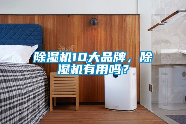 除濕機(jī)10大品牌，除濕機(jī)有用嗎？