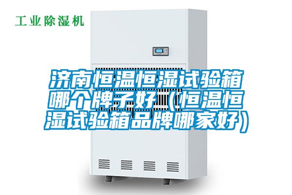 濟南恒溫恒濕試驗箱哪個牌子好（恒溫恒濕試驗箱品牌哪家好）