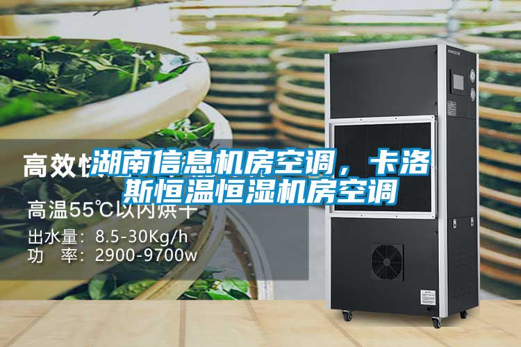 湖南信息機(jī)房空調(diào)，卡洛斯恒溫恒濕機(jī)房空調(diào)