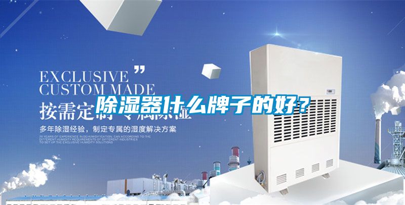 除濕器什么牌子的好？