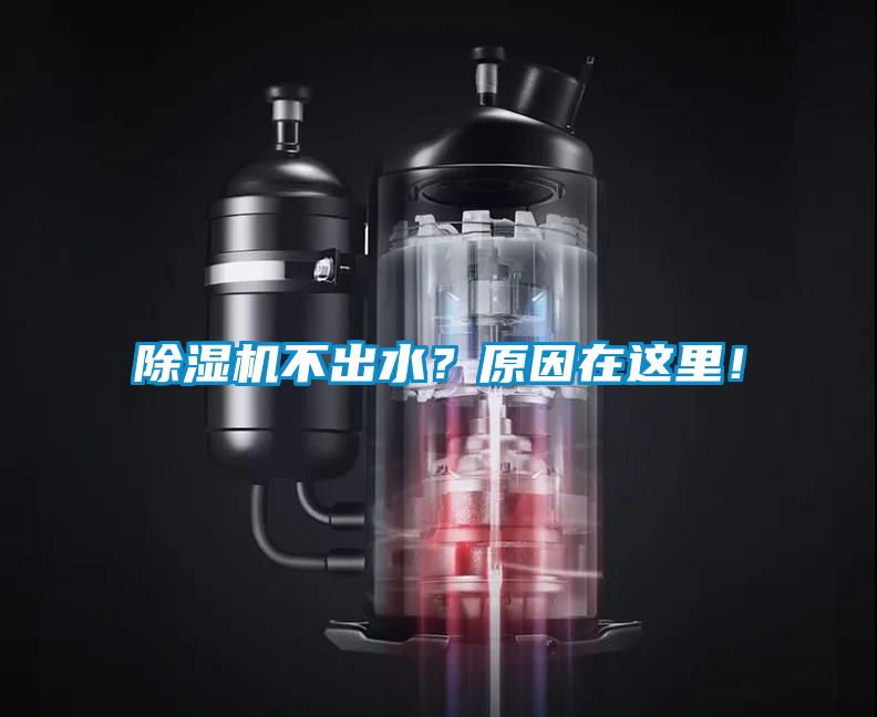 除濕機不出水？原因在這里！