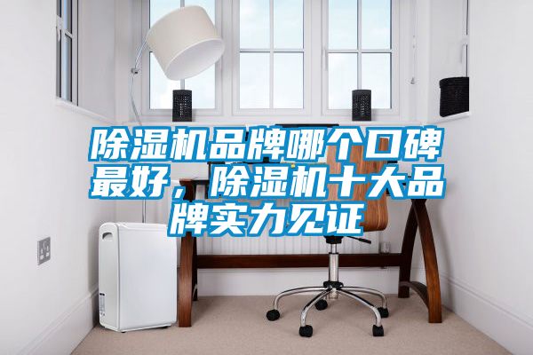 除濕機(jī)品牌哪個(gè)口碑最好，除濕機(jī)十大品牌實(shí)力見證