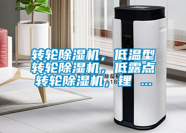轉(zhuǎn)輪除濕機(jī)，低溫型轉(zhuǎn)輪除濕機(jī)，低露點(diǎn)轉(zhuǎn)輪除濕機(jī)，鋰 ...
