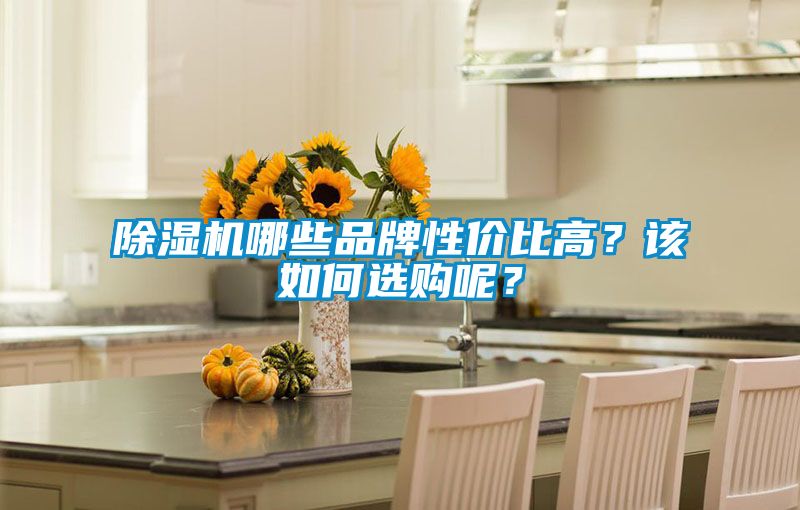 除濕機(jī)哪些品牌性價(jià)比高？該如何選購呢？