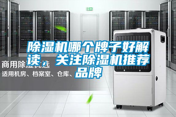 除濕機(jī)哪個(gè)牌子好解讀，關(guān)注除濕機(jī)推薦品牌