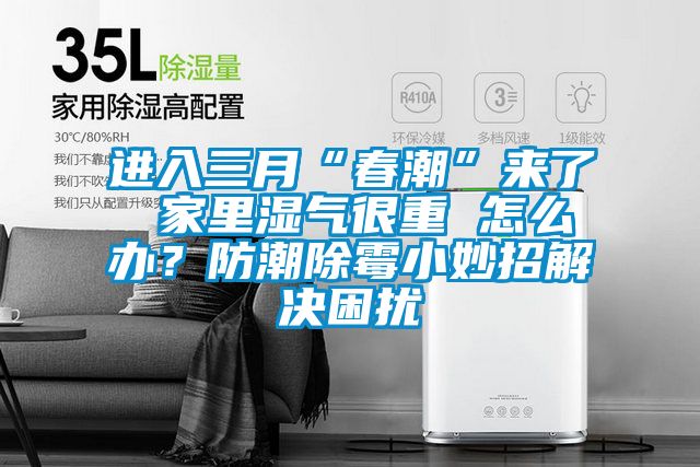 進入三月“春潮”來了 家里濕氣很重 怎么辦？防潮除霉小妙招解決困擾