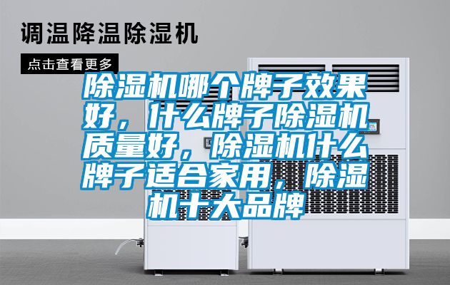 除濕機哪個牌子效果好，什么牌子除濕機質(zhì)量好，除濕機什么牌子適合家用，除濕機十大品牌