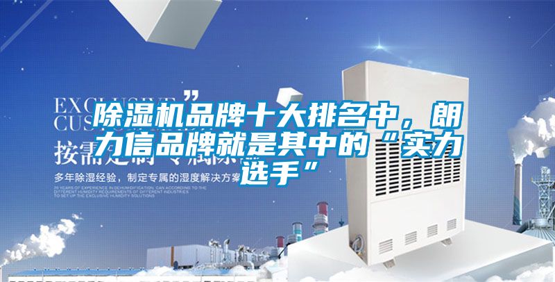 除濕機(jī)品牌十大排名中，朗力信品牌就是其中的“實(shí)力選手”