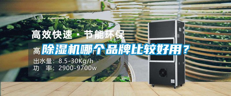除濕機(jī)哪個品牌比較好用？