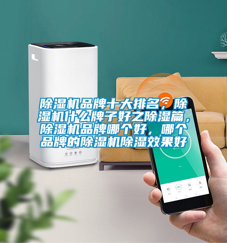 除濕機(jī)品牌十大排名，除濕機(jī)什么牌子好之除濕篇，除濕機(jī)品牌哪個(gè)好，哪個(gè)品牌的除濕機(jī)除濕效果好