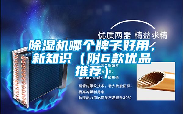除濕機(jī)哪個(gè)牌子好用，新知識(shí)（附6款優(yōu)品推薦）