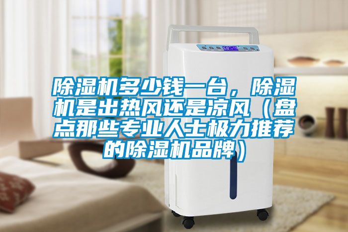 除濕機(jī)多少錢(qián)一臺(tái)，除濕機(jī)是出熱風(fēng)還是涼風(fēng)（盤(pán)點(diǎn)那些專業(yè)人士極力推薦的除濕機(jī)品牌）