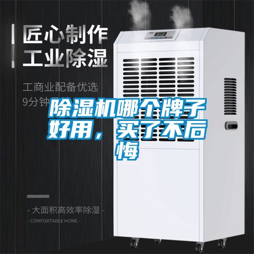 除濕機(jī)哪個(gè)牌子好用，買了不后悔