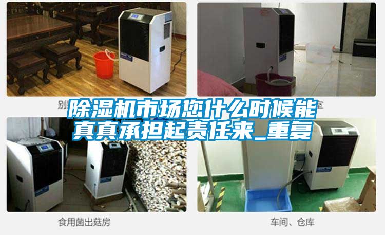 除濕機(jī)市場您什么時(shí)候能真真承擔(dān)起責(zé)任來_重復(fù)