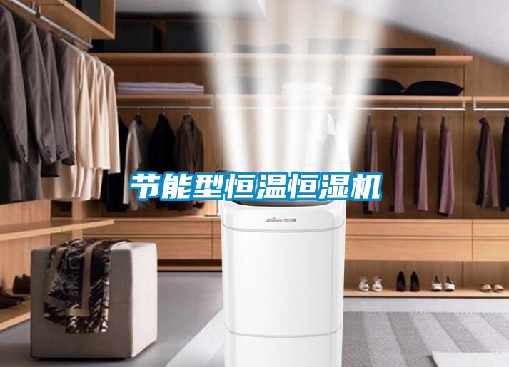 節(jié)能型恒溫恒濕機