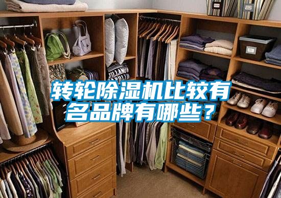 轉(zhuǎn)輪除濕機(jī)比較有名品牌有哪些?