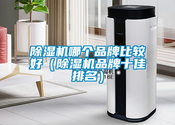 除濕機(jī)哪個品牌比較好（除濕機(jī)品牌十佳排名）