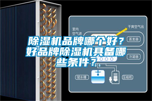 除濕機(jī)品牌哪個(gè)好？好品牌除濕機(jī)具備哪些條件？
