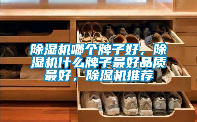 除濕機(jī)哪個(gè)牌子好，除濕機(jī)什么牌子最好品質(zhì)最好，除濕機(jī)推薦