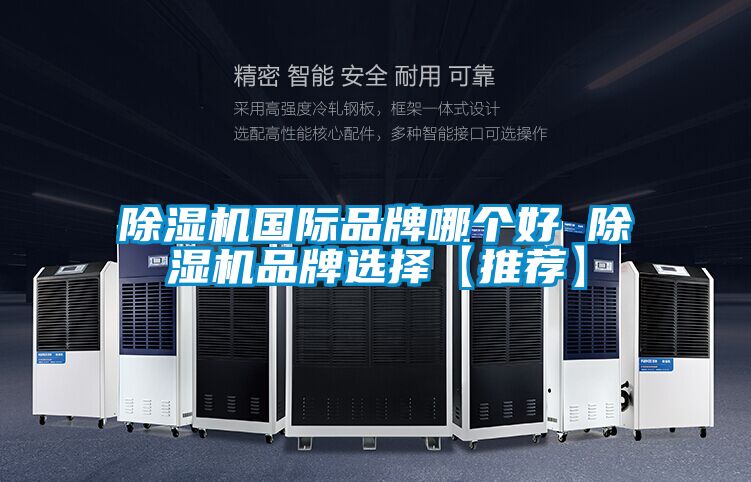 除濕機國際品牌哪個好 除濕機品牌選擇【推薦】