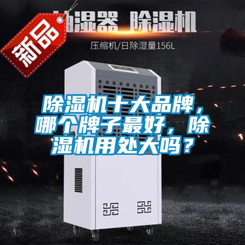 除濕機(jī)十大品牌，哪個(gè)牌子最好，除濕機(jī)用處大嗎？