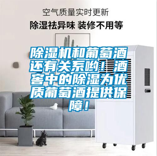 除濕機(jī)和葡萄酒還有關(guān)系喲！酒窖中的除濕為優(yōu)質(zhì)葡萄酒提供保障！