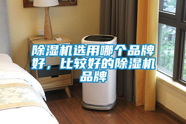 除濕機(jī)選用哪個(gè)品牌好，比較好的除濕機(jī)品牌