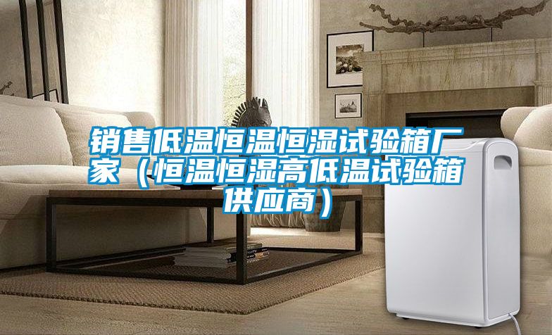 銷售低溫恒溫恒濕試驗(yàn)箱廠家（恒溫恒濕高低溫試驗(yàn)箱供應(yīng)商）