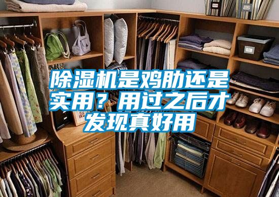 除濕機(jī)是雞肋還是實(shí)用？用過之后才發(fā)現(xiàn)真好用