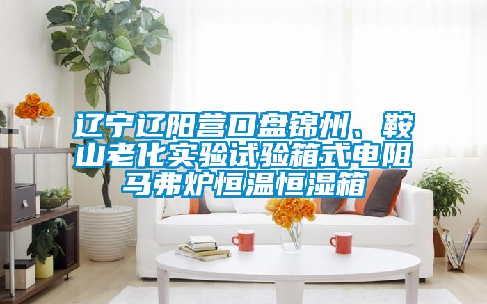 遼寧遼陽(yáng)營(yíng)口盤錦州、鞍山老化實(shí)驗(yàn)試驗(yàn)箱式電阻馬弗爐恒溫恒濕箱