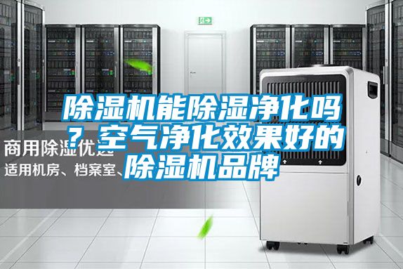 除濕機(jī)能除濕凈化嗎？空氣凈化效果好的除濕機(jī)品牌
