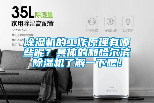 除濕機(jī)的工作原理有哪些呢？具體的和哈爾濱除濕機(jī)了解一下吧！