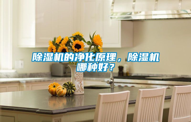 除濕機(jī)的凈化原理，除濕機(jī)哪種好？