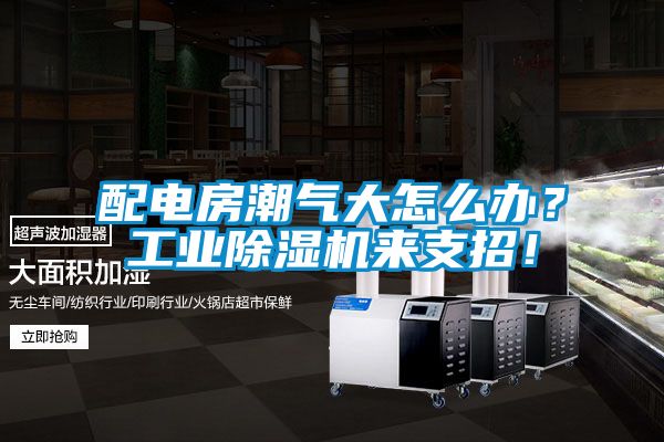 配電房潮氣大怎么辦？工業(yè)除濕機(jī)來(lái)支招！