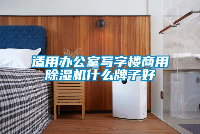 適用辦公室寫(xiě)字樓商用除濕機(jī)什么牌子好