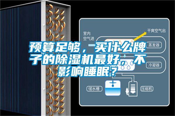 預(yù)算足夠，買(mǎi)什么牌子的除濕機(jī)最好，不影響睡眠？