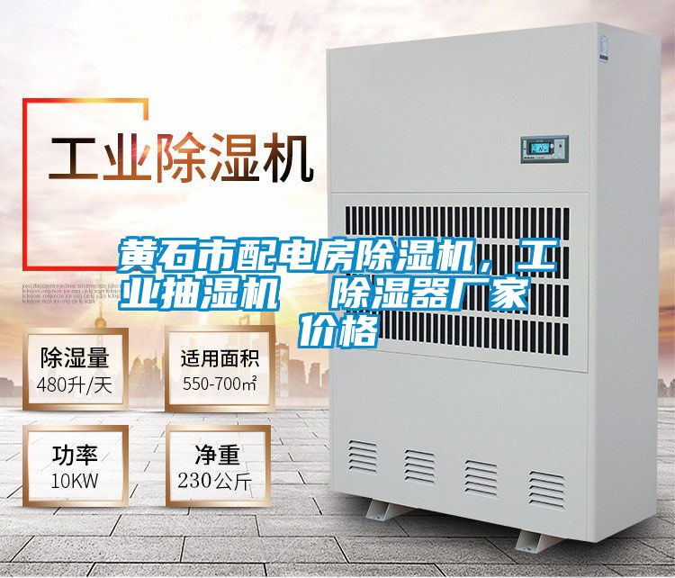 黃石市配電房除濕機，工業(yè)抽濕機  除濕器廠家 價格