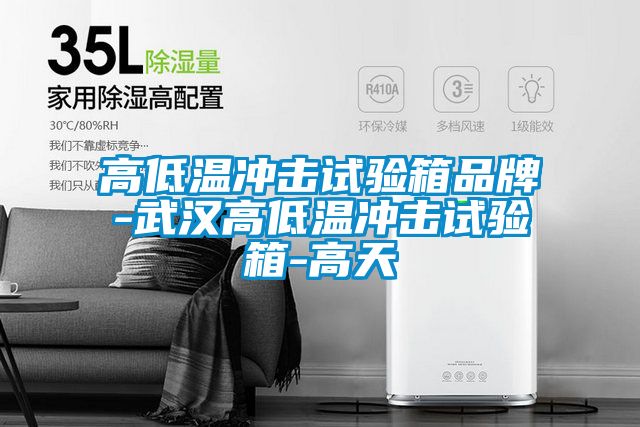 高低溫沖擊試驗(yàn)箱品牌-武漢高低溫沖擊試驗(yàn)箱-高天
